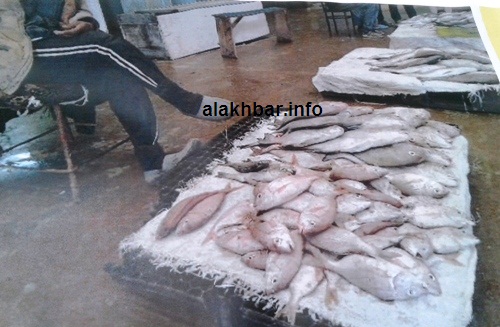 احدى صور التي شاركت في معرض الصور / الأخبار