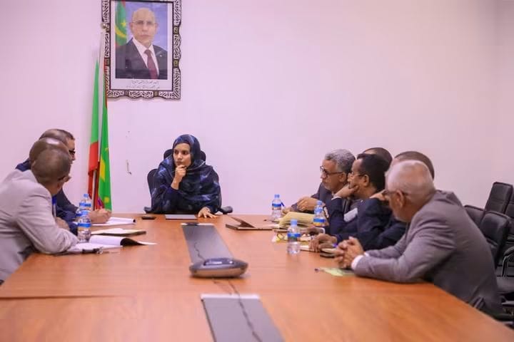 اجتماع بوزارة المياه لتنفيذ التزامات الرئيس في آدرار وإنشيري