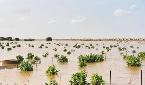 مقاييس الأمطار خلال 24 ساعة الأخيرة في ست ولايات