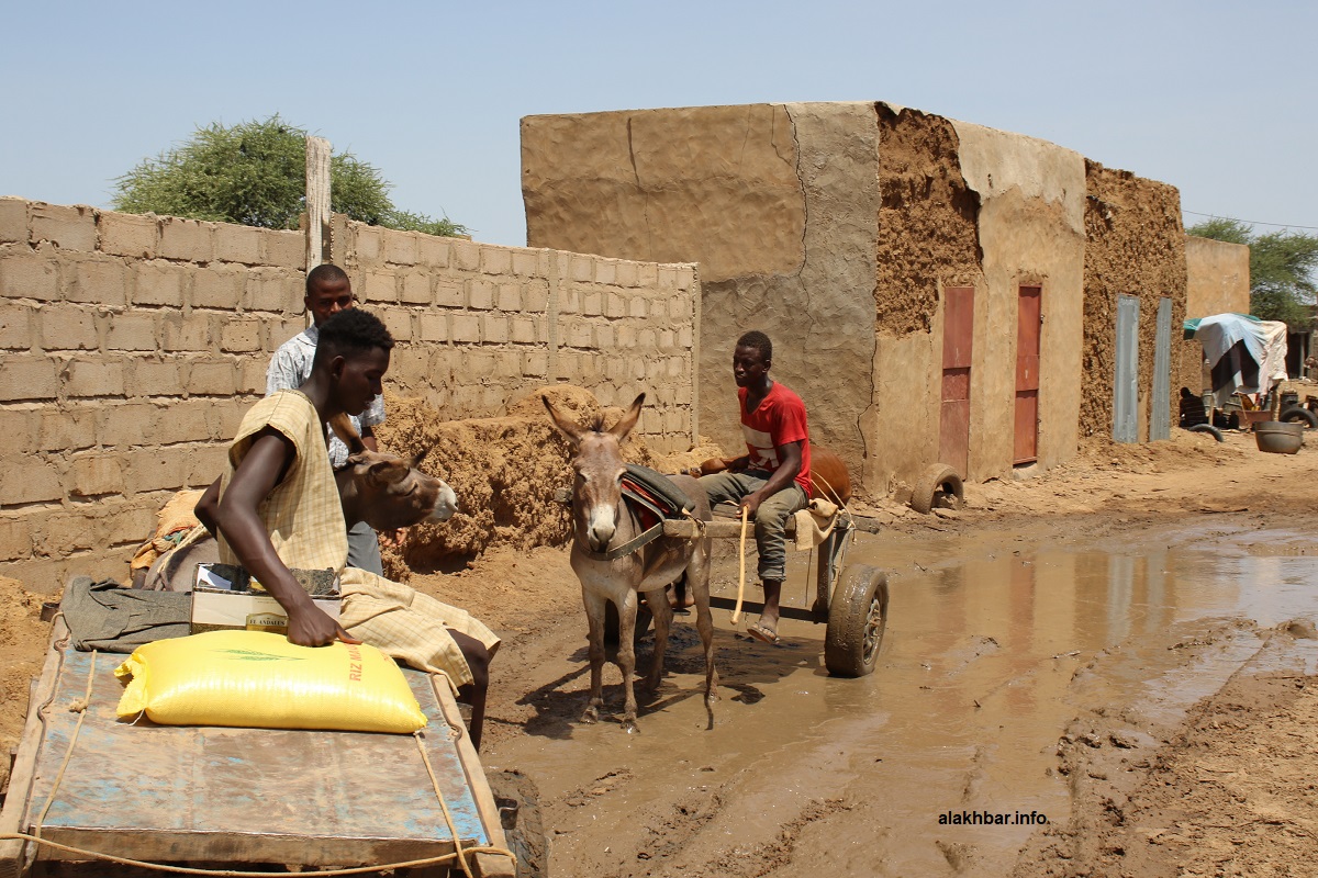 إغلاق الشوارع أمام السيارات رفع من أسهم العربات التي تجرها الحمير (الأخبار)