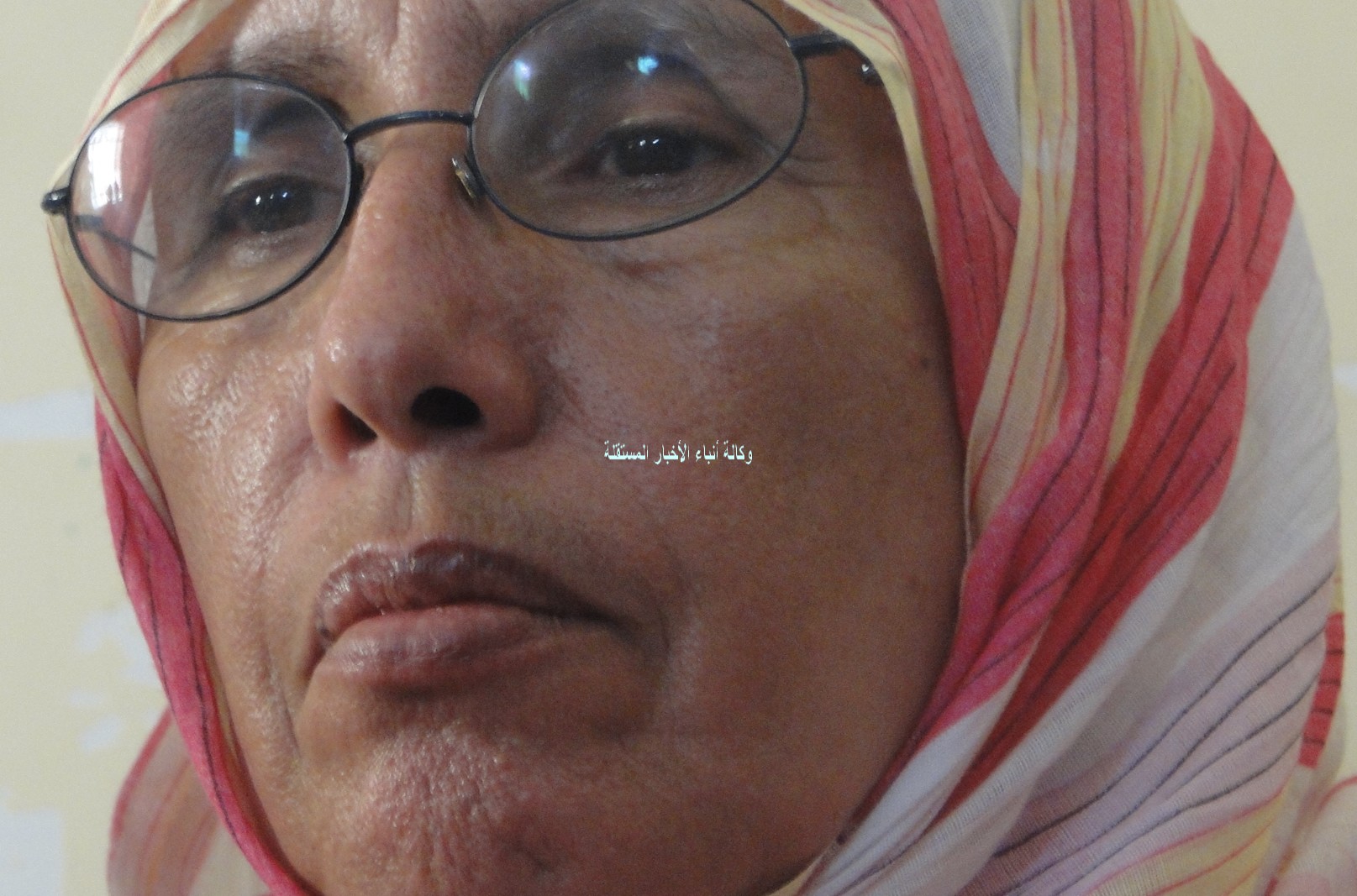 الناشطة الحقوقية أمنة بنت المختار (الأخبار)
