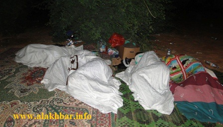 فضل بعضهم الاستغراق في النوم ربما استعدادا لجولة النضال النهارية (الأخبار)