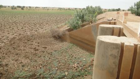 استغلال الأراضي الزراعية بالمدينة لا يتجاوز حاليا 30% نتيجة بعض النباتات والأشجار التي أعاقت عملية الزراعة بالمنطقة (الأخبار)