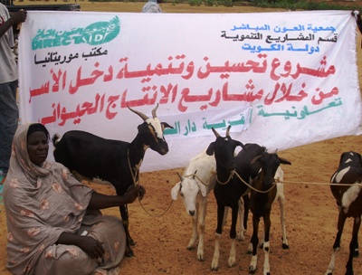 إحدى النساء المستفيدات من المشروع (الأخبار)