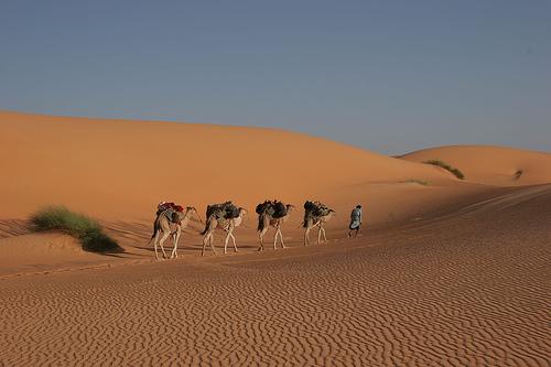 حياة الحل والترحال تختلف عن حياة التحضر فلا غرابة إذا اختلف الفقه تبعا لذلك