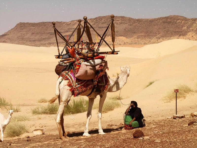 بدو أطراف النساء واقع يفرضه الترحال.. قضية أخرى عالجها المؤلف