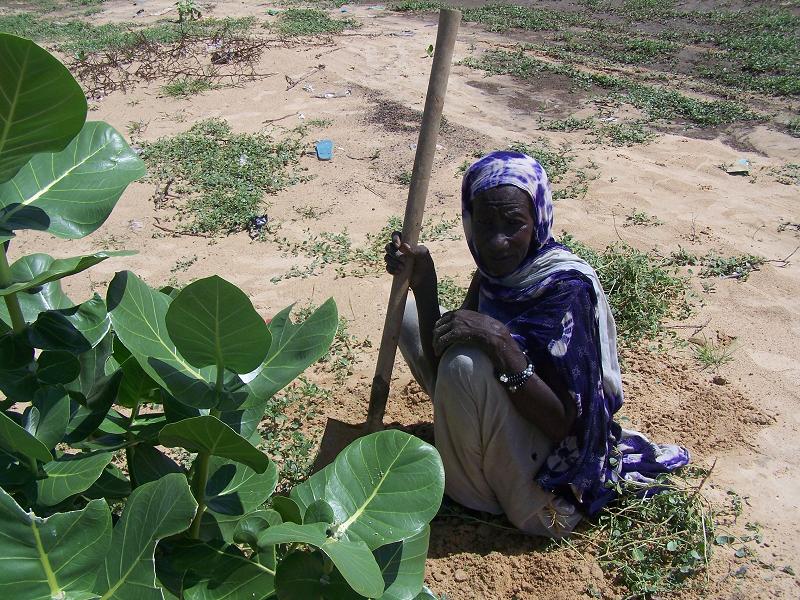 يحاول النازحون إقامة أخبية تؤويهم يعد أن هجروا بيوتهم (تصوير الأخبار)