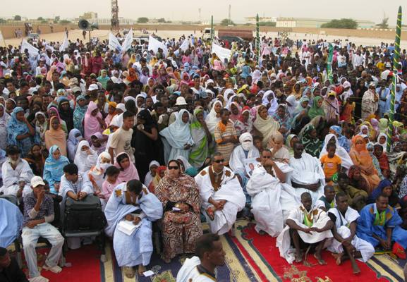 جانب من نشاط تمام اليوم / الأخبار