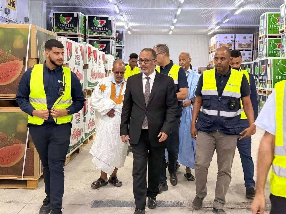 موريتانيا – عائدات تصدير البطيخ الموريتاني تتجاوز 500 مليون أوقية