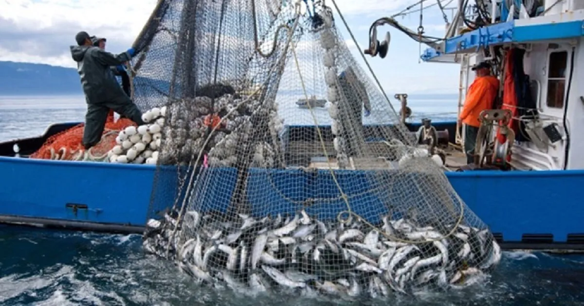 اختتام مفاوضات لاس بالماس دون اتفاق بشأن تجديد بروتوكول الصيد