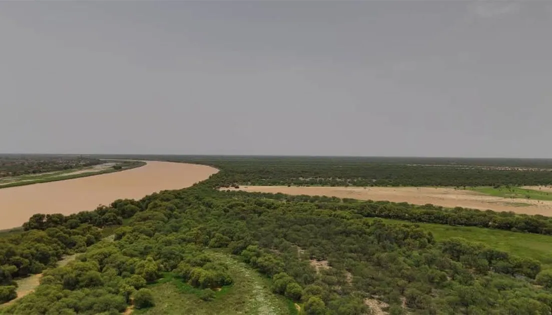 إجراءات حكومية لحماية غابة "كاني" جنوب موريتانيا