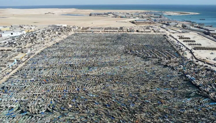 ميناء "خليج الراحة" بصدد رقمنة وإحصاء زوارق الصيد