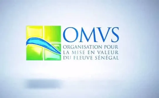 OMVS تنشئ خلية للبحث والابتكار بهدف جعل المعرفة "رافعة استراتيجية"