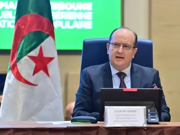 الوزير الأول الجزائري: مشاريعنا مع النيجر شرايين حيوية للتنمية والتكامل