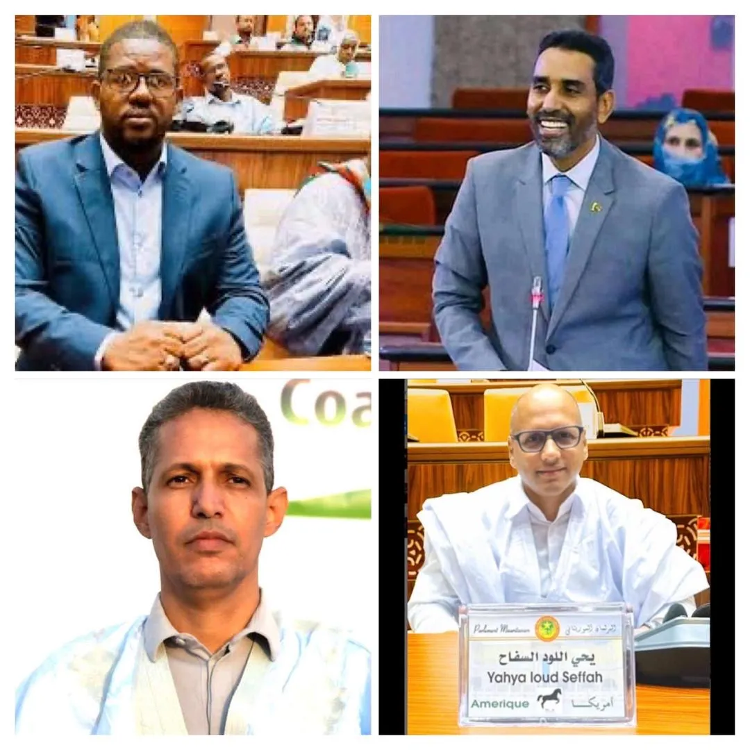 بسبب مقترح المأموريات.. نواب يطالبون بتعليق المشاركة في الحوار