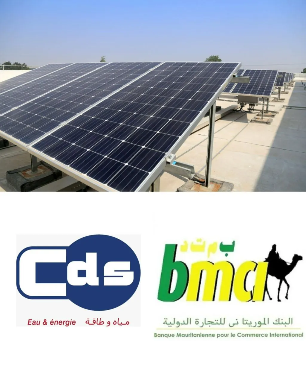 شراكة بين BMCI وCDS لإطلاق حلول في مجال الطاقة الشمسية