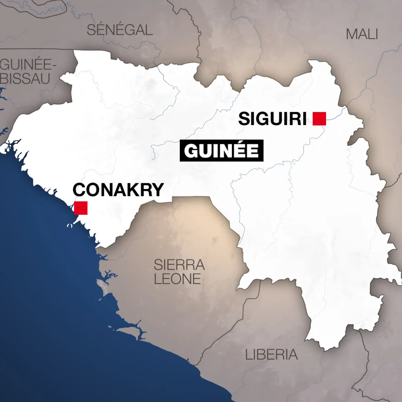 غينيا: اعتقال مواطنين وأجانب بتهمة الانتماء لخلايا نائمة تابعة لـ"نصرة الإسلام"