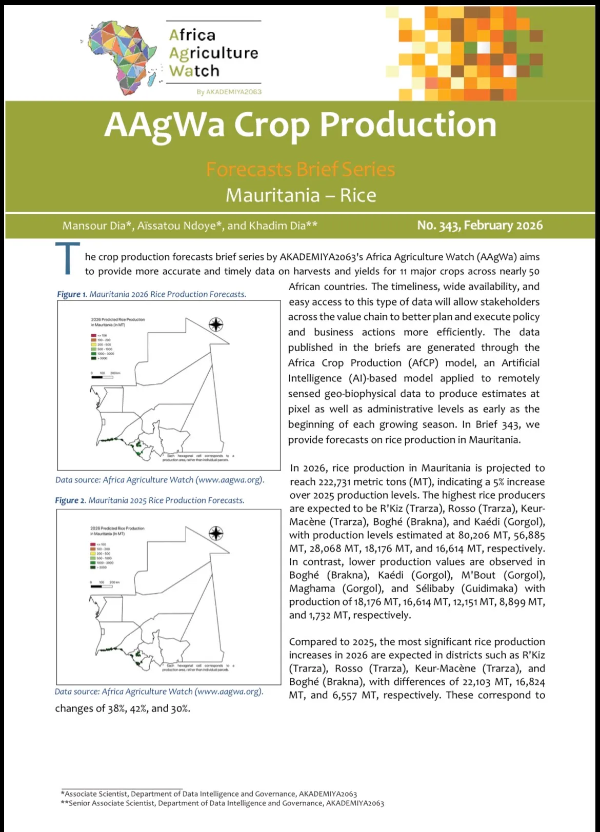 توقع زيادة إنتاج موريتانيا من الأرز 2026 بنسبة 5%