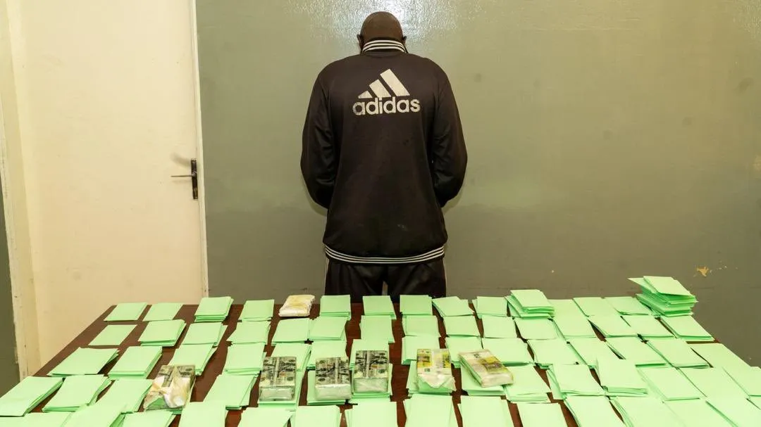 السنغال: حجز عملة أجنبية مزورة بقيمة 6 مليارات فرنك إفريقي