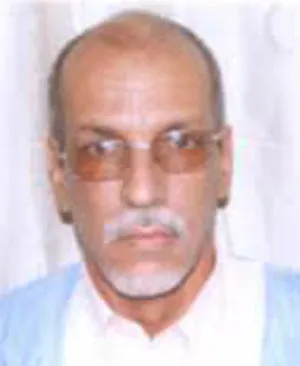 محن مكتبات المخطوطات في مدينة شنقيط