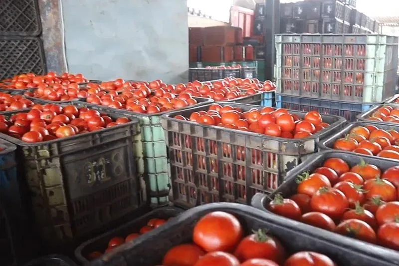 منتجون ومصدرون مغاربة يلوحون بالهجرة إلى موريتانيا