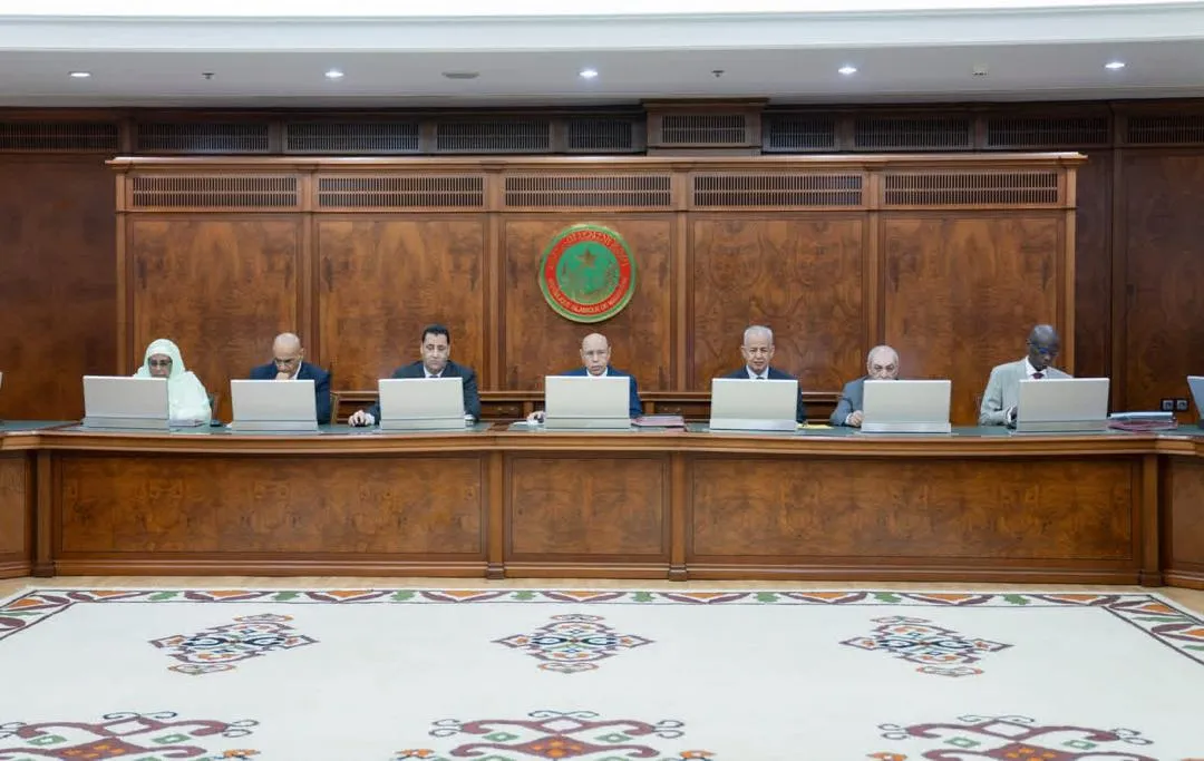 الحكومة: القطاع الصناعي انتقل من النشأة إلى النضج والتسارع