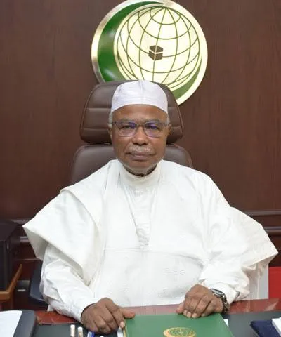 منظمة التعاون الإسلامي تدين الهجمات على مالي وتتضامن مع الشعب والسلطات