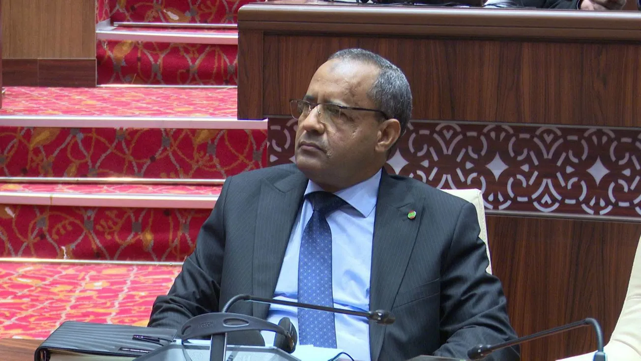وزير الزراعة: رفعنا رسوم جمركة الخضروات المستوردة حماية للمنتج الوطني