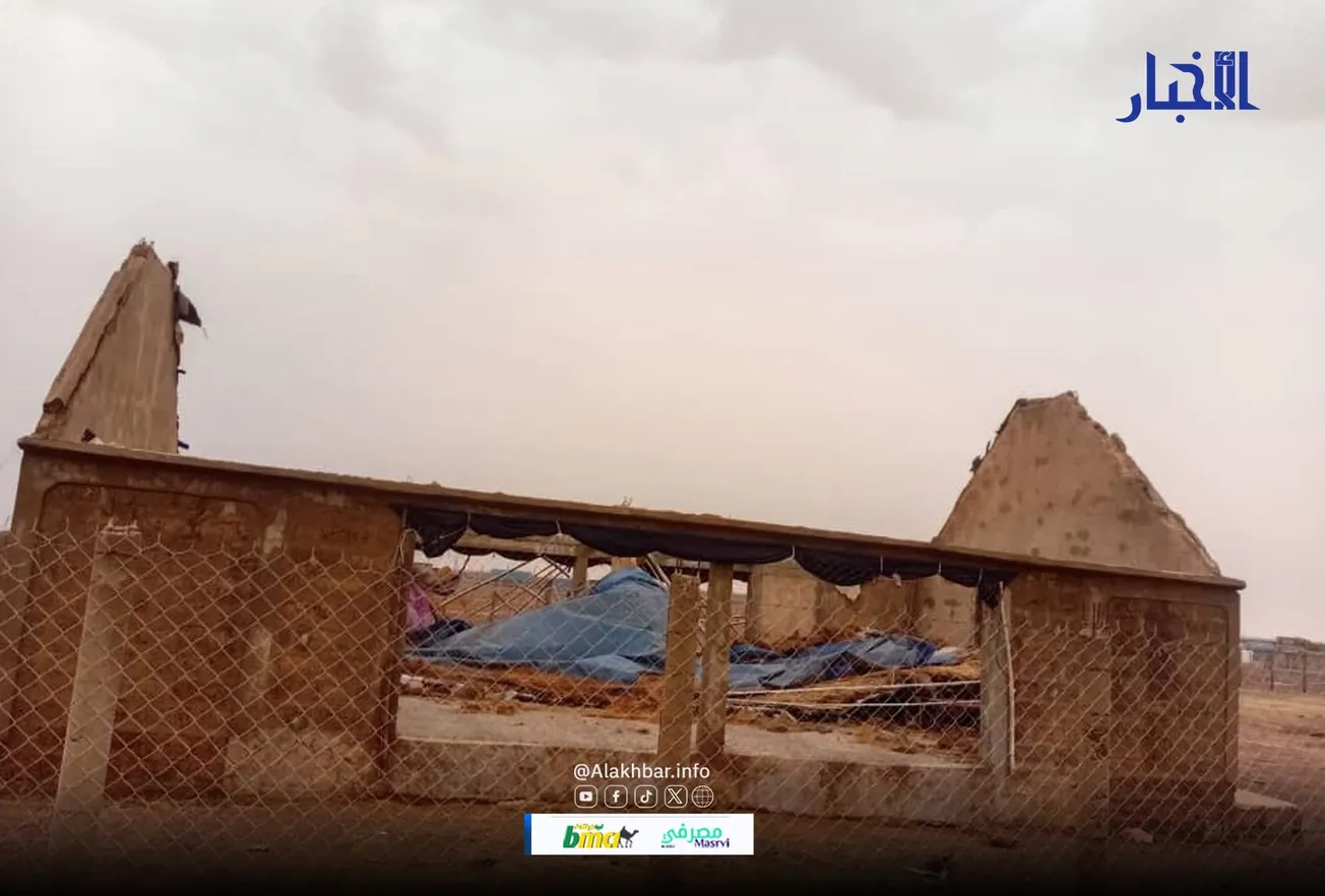 أسقطت 50 عريشا.. عاصفة مطرية تضرب قرية "ازميت" بالحوض الغربي