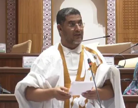 برلماني: منع متقاعدي الجيش من السياسية قد يتحول إلى تقييد للحريات