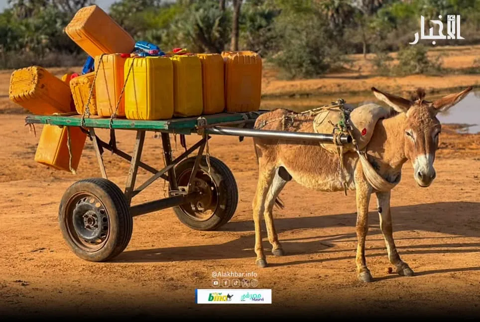 سكان “الجديدة” بكيدي ماغا يشكون  تفاقم المعاناة جراء ضعف خدمة بالماء وانعدام الكهرباء