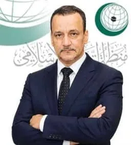 أمين عام منظمة التعاون الإسلامي يدين "المساس بأمن واستقرار النيجر"