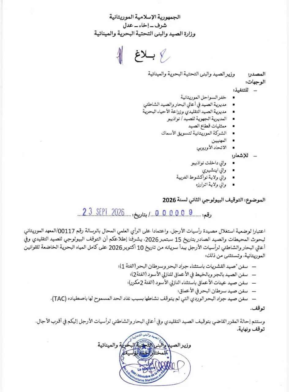 قرار رسمي بتعليق صيد الأخطبوط ابتداء من 10 أكتوبر