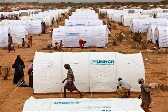 الأمم المتحدة: عدد النازحين واللاجئين بالساحل يناهز 4 ملايين