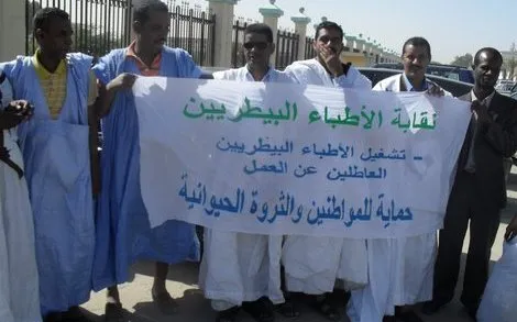 الأطباءالبيطريون يوجهون رسالة تظلم إلي الرئيس الموريتاني