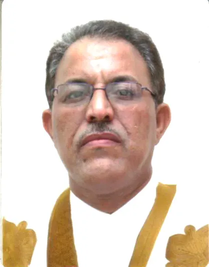 عبد الودود ولد عبد الله - أستاذ بجامعة نواكشوط