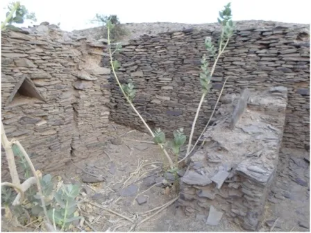 "كومبي صالح" عاصمة مملكة غانا تحتضر