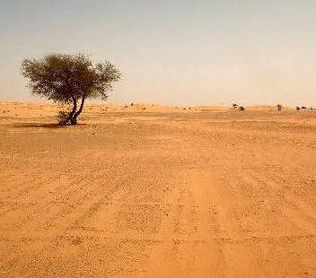 العثور على جثث مهاجرين أفارقة جنوب الجزائر