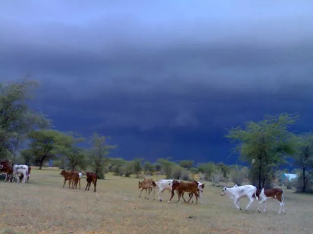 أمطار على مناطق من الحوضين