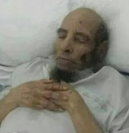 نم قرير العين يا أبا شامة