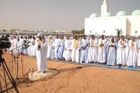 الصورة للوكالة الرسمية