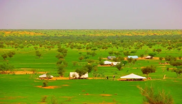 حملة لحماية المراعي من الحرائق