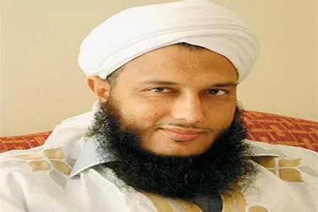 العلامة الشيخ محمد الحسن ولد الددو