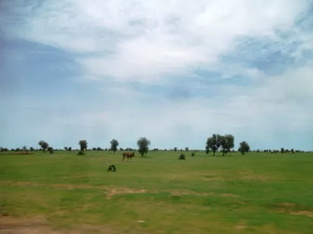 محاربة آثار التغيرات المناخية أولوية لدي الحكومة