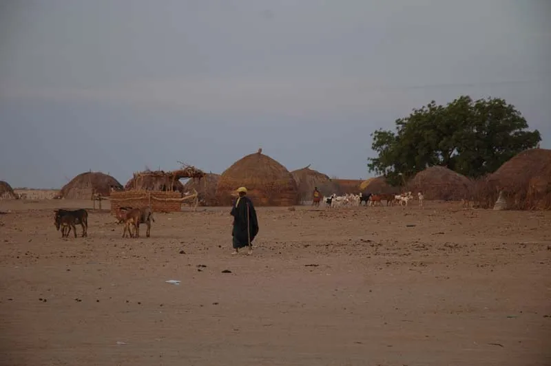 سقوط مدينة مالية بيد مسلحين
