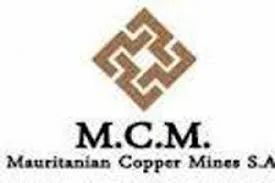 شركة MCM: تحجب موقع وكالة الأخبار