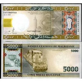 النقد الدولي: مصارف موريتانيا في وضع هش