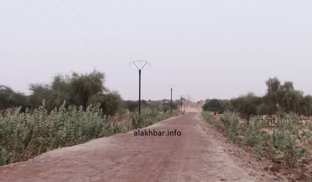 سكان بتامشكط يطالبون الرئيس بزيارتهم برا