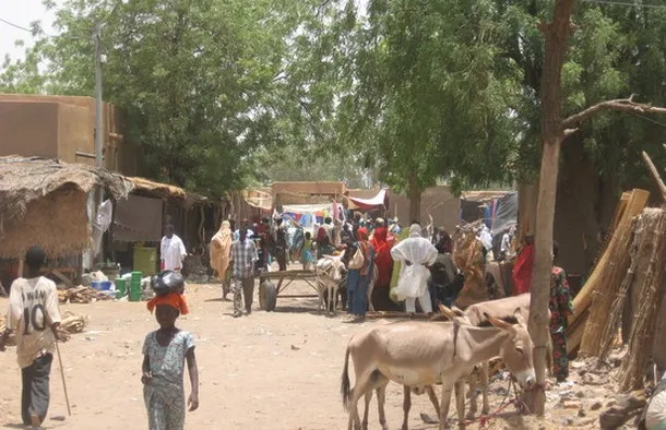 قتلى وجرحي في تفجير مفخخة شمال مالي