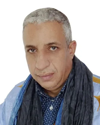 المختار ولد داهي،سفير سابق